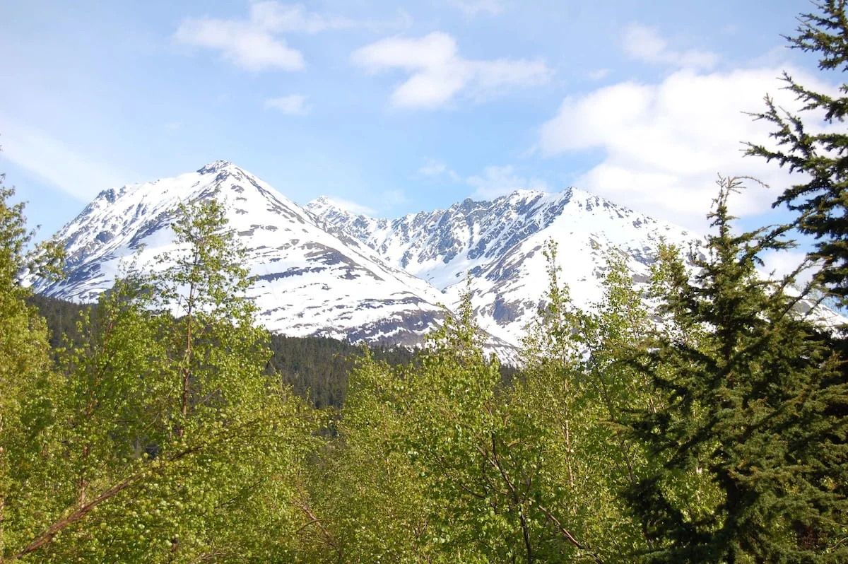 Eagles Aerie Chalet - Spring Mountain View From The Deck And Living Room