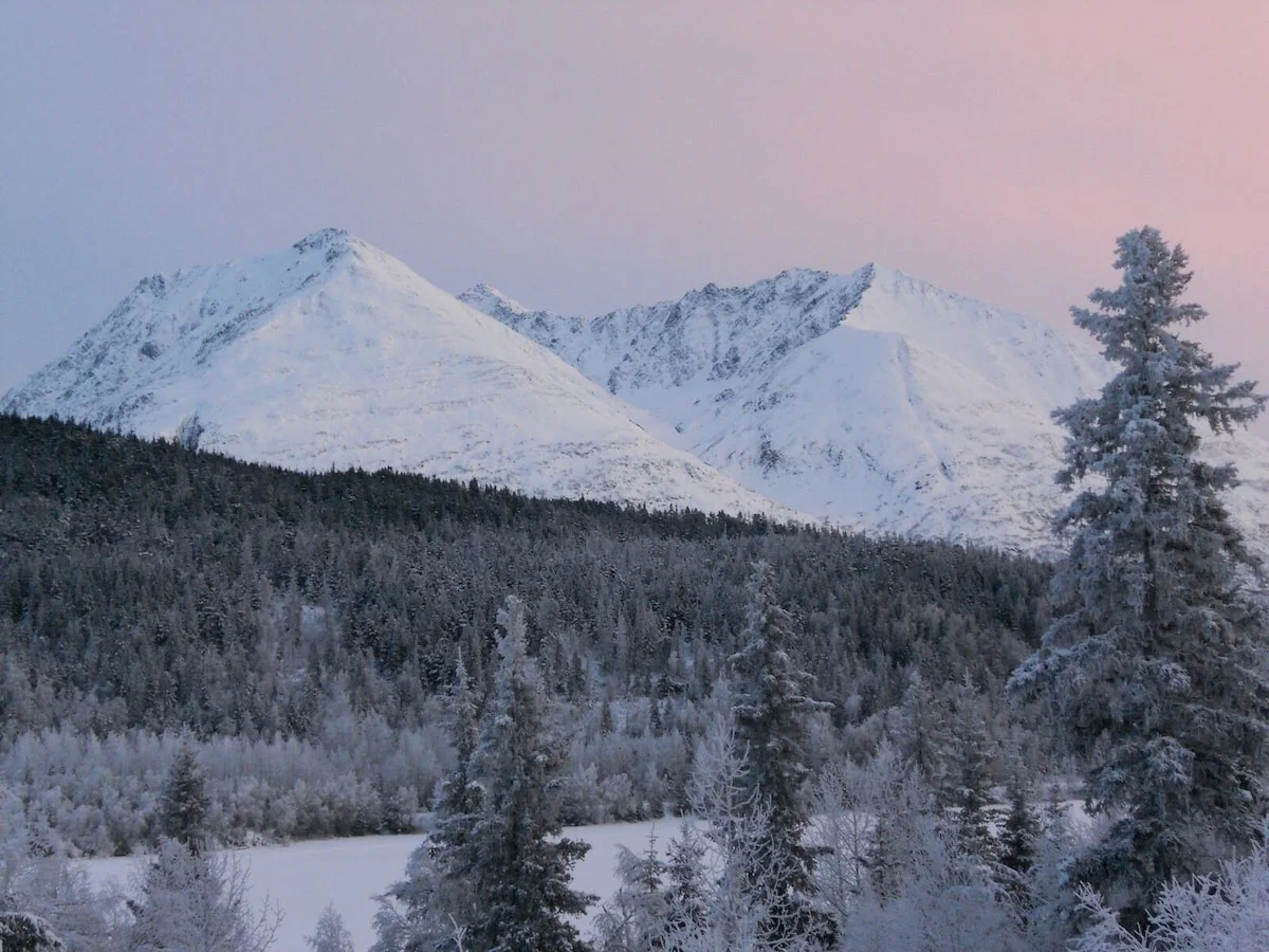 Eagles Aerie Chalet - Winter View From Living Room