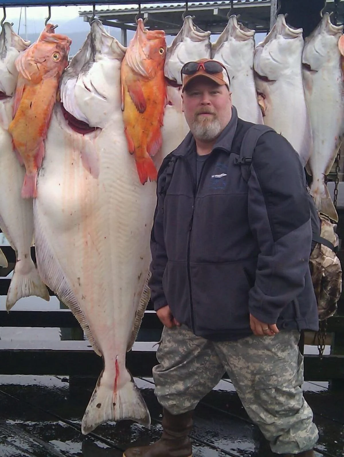 Eagles Aerie Chalet - Halibut Fishing Out Of Seward