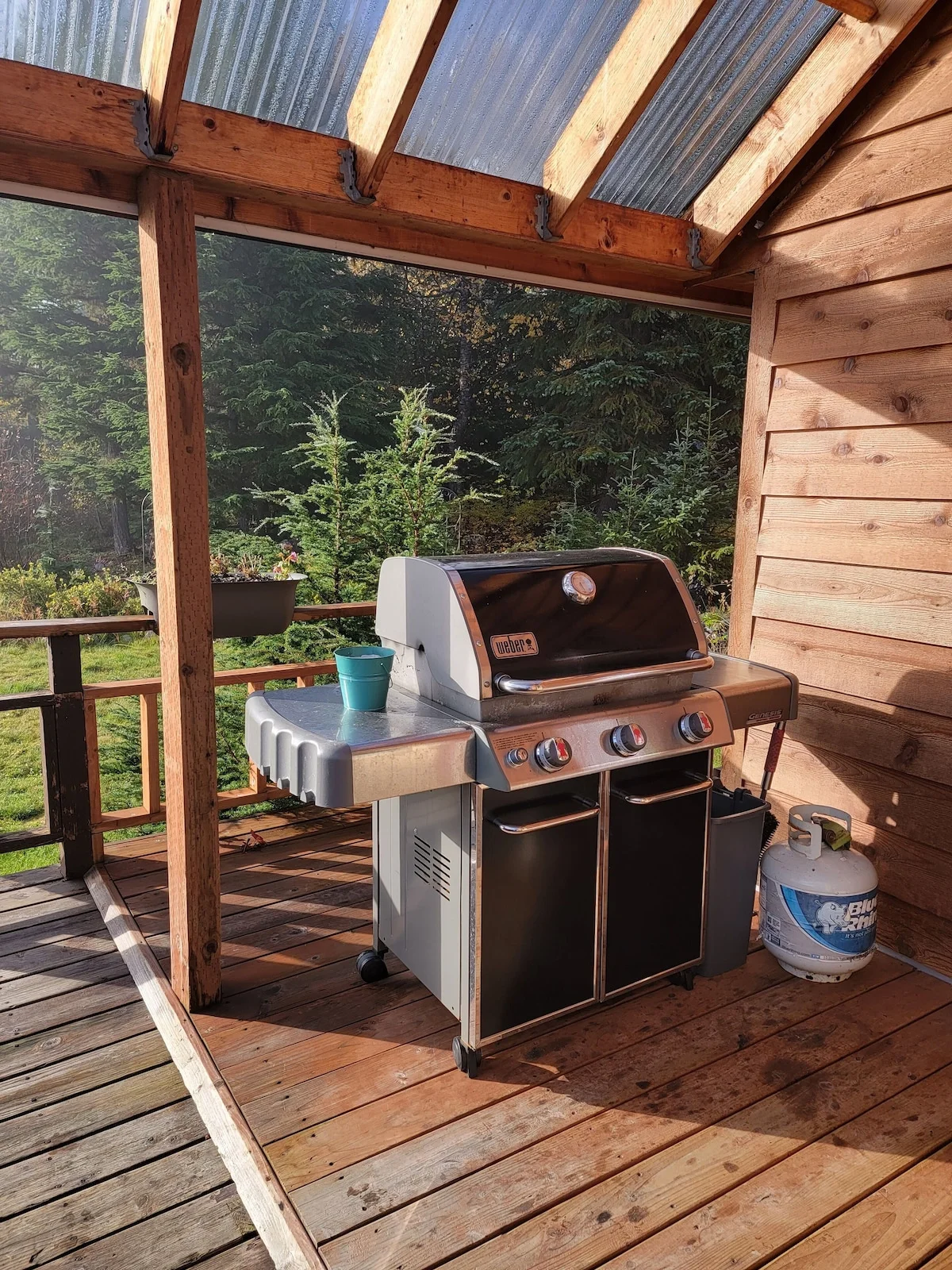 Wild Rose Chalet - Yes It Has A Gas Grill